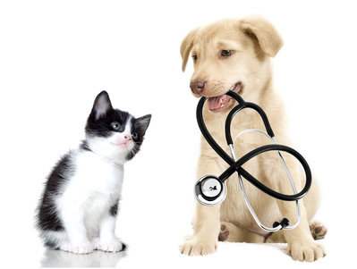 Fotolia 59663528 XS